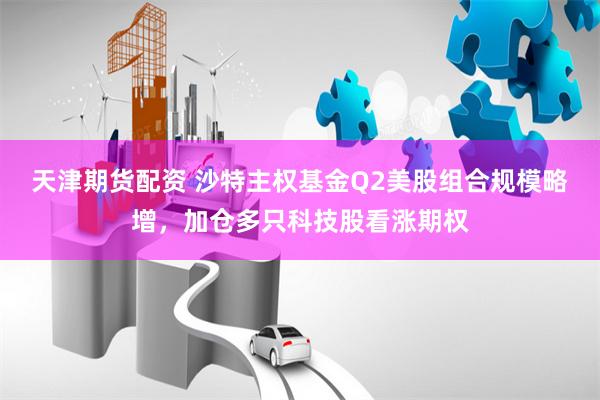 天津期货配资 沙特主权基金Q2美股组合规模略增，加仓多只科技股看涨期权