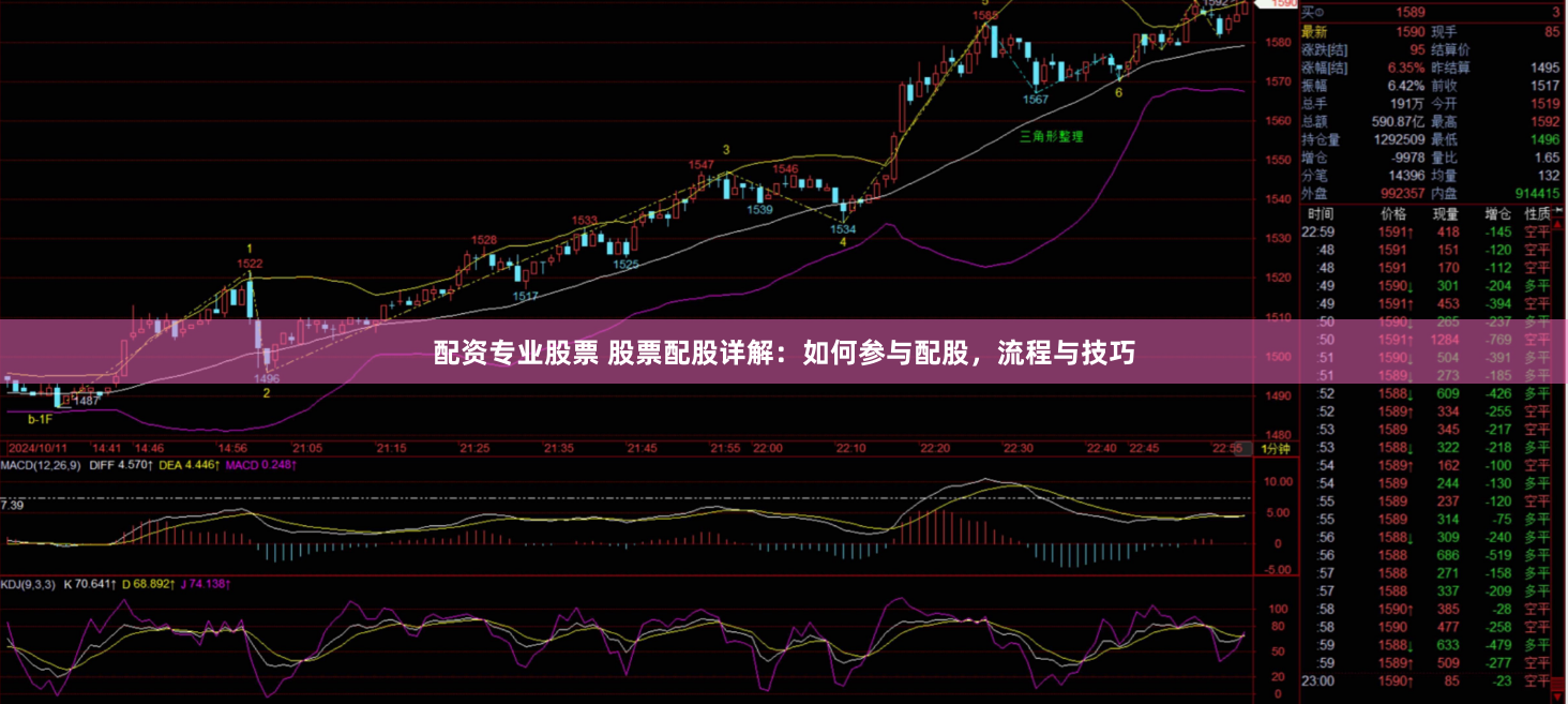 配资专业股票 股票配股详解：如何参与配股，流程与技巧