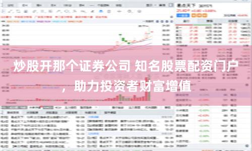 炒股开那个证券公司 知名股票配资门户，助力投资者财富增值